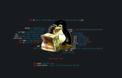 Linux Hosting Nedir ?